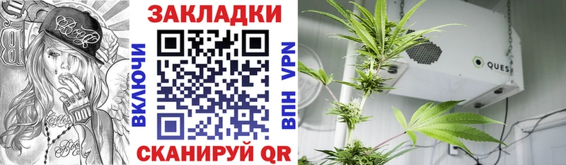 Где продают наркотики Пыть-Ях mega ссылка  МДМА  Бошки Шишки  Гашиш  COCAIN 