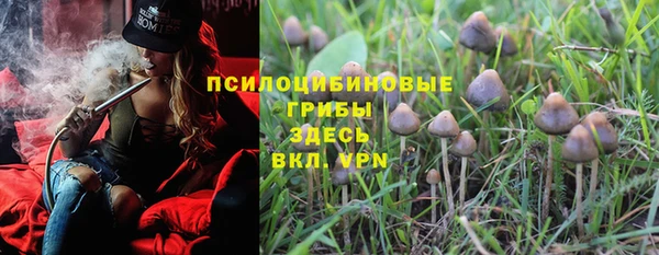 эйфоретик Белокуриха