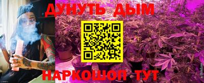 гашик Краснознаменск