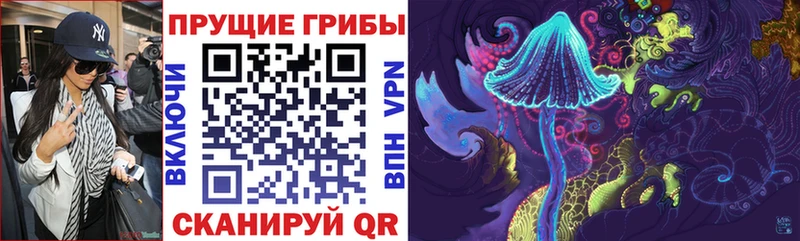 Псилоцибиновые грибы Psilocybe Пыть-Ях