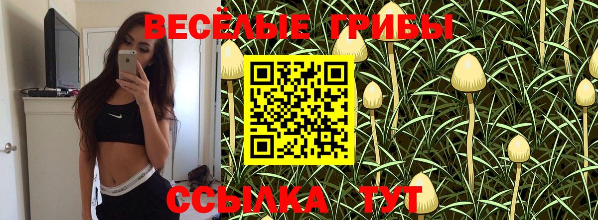 Пыть-Ях  Псилоцибиновые грибы Psilocybe  Вход с VPN 